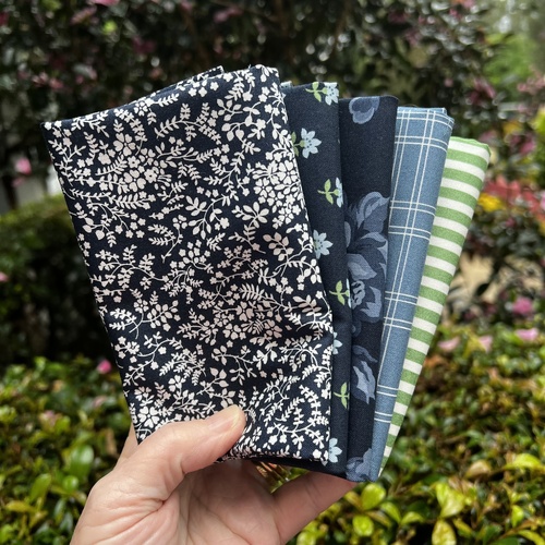 Megelles Mystery Special Bundle – 5 Fat Quarters Shoreline by Camille Roskelley 2