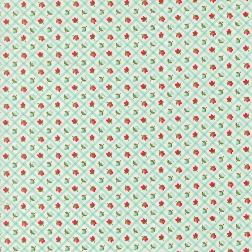 Bloomsberry Checks & Plaid Aqua 55358 23 Quilting Fabric