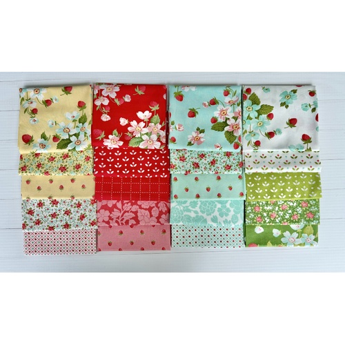 Bloomsberry 20 Piece Special Bundle