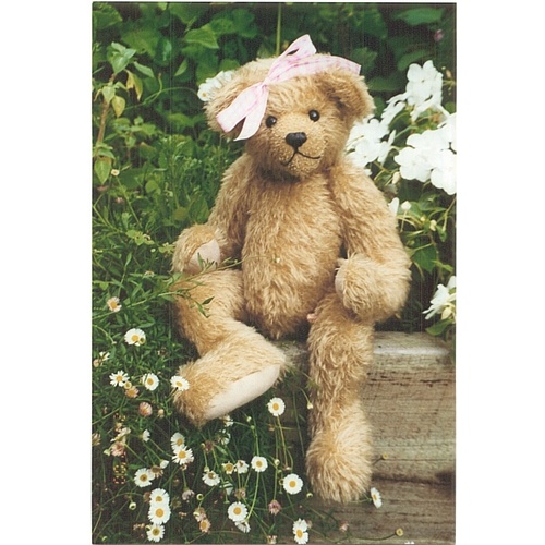 Gemma Teddy Bear Making Pattern