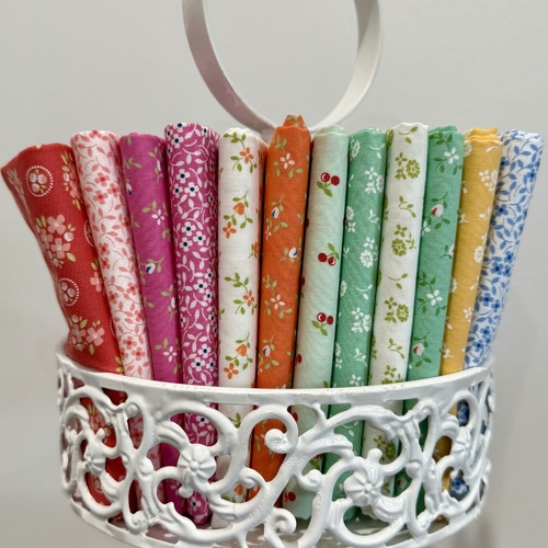 Cali & Co. 12 Piece Special Bundle 