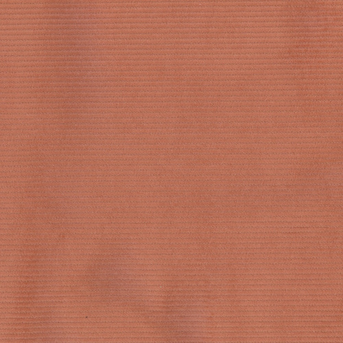 Corduroy 21 W DV2043 Terracotta Fabric