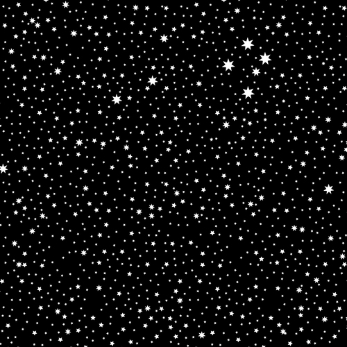 DV2146 BBB White on Black Quilting Fabric