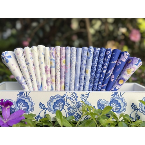 Delphinium 20 Piece Special Bundle 