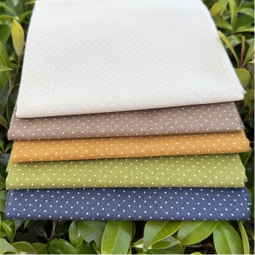 Enchantment 5 piece Swiss Dot Special Bundle LAST ONE 