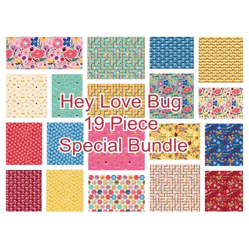 Hey Love Bug 19 Piece Special Bundle