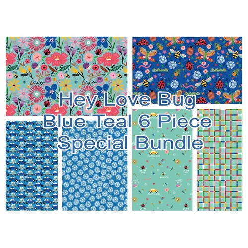 Hey Love Bug Blue Teal 6 Piece Special Bundle 