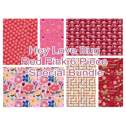 Hey Love Bug Red Pink 6 Piece Special Bundle