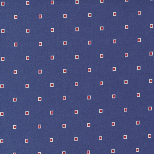 Picture Perfect Navy M2180518 Quilting Fabric