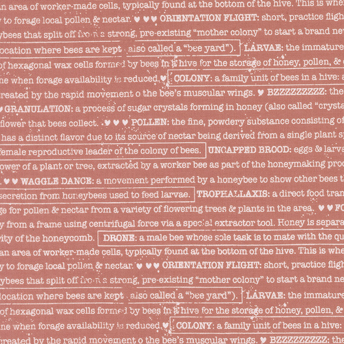 Wild Honey Rose Water 5254 13 Buzz Words Text and Words Quilting Fabric 