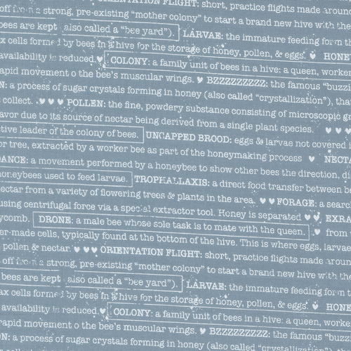 Wild Honey Sky 5254 14 Buzz Words Text and WordsÊQuilting Fabric 