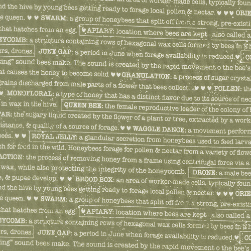 Wild Honey Fern 5254 15 Buzz Words Text and Words Quilting Fabric 