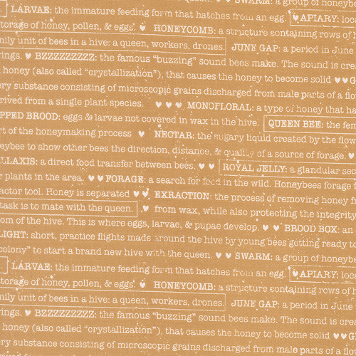 Wild Honey Honey 5254 16 Buzz Words Text and Words Quilting Fabric 