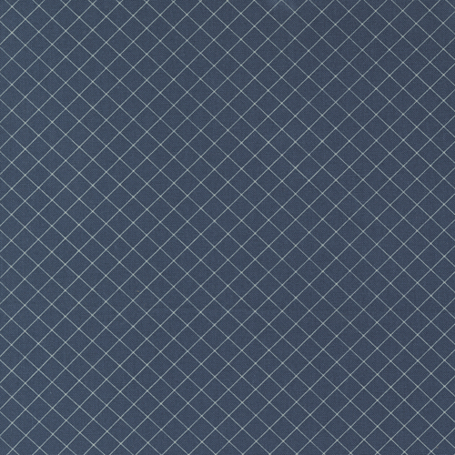 Sunnyside Graph Navy 55283 13 Checks and Plaids