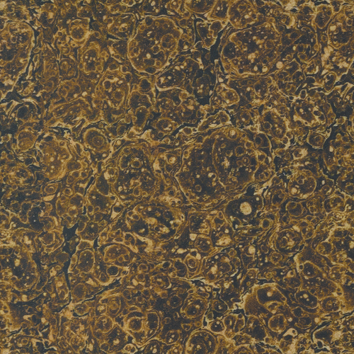 Curated In Color Brown 7462 19 Marbles Blenders Patchwork Fabric