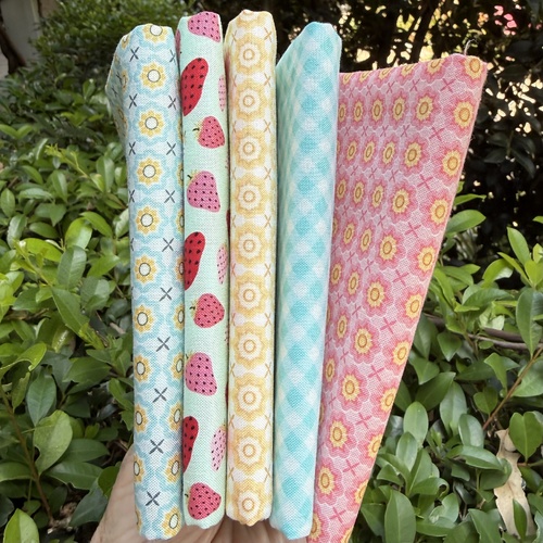 Prairie Sisters Homestead MYSTERY 5 Piece FAT Quarter Special Bundle