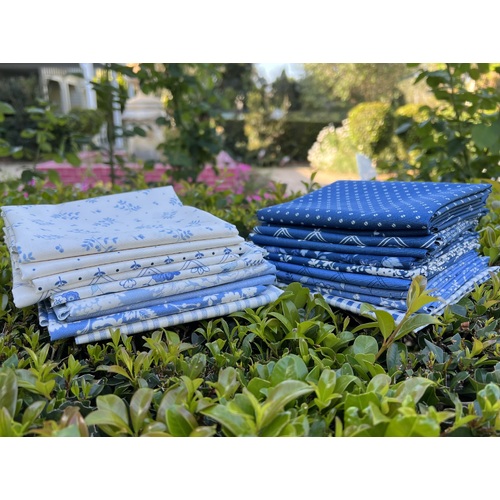 Blueberry Delight 20 Piece Special Bundle