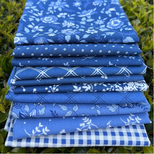 Blueberry Delight Blue Cornflower 10 Piece Special Bundle
