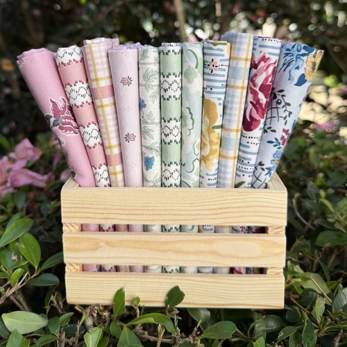 Forget-Me-Not 11 Piece Special Bundle 