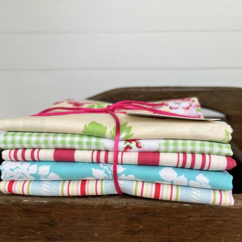 Half Meter 5 Piece Mixed Bundle - Tanya Whelan 1