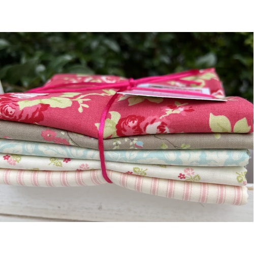 Half Meter 5 Piece Mixed Bundle - Brenda Riddle 13