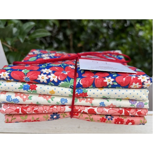 Half Meter 5 Piece Mixed Bundle - Playtime 2