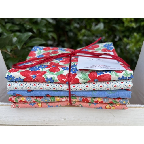 Half Meter 5 Piece Mixed Bundle - Playtime 4