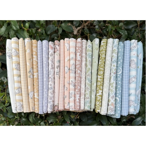 Little Ones 24 Piece Special Bundle