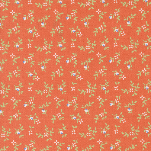 Cali & Co. Melon Vine & Bud Orange 29192 34 Quilting Fabric
