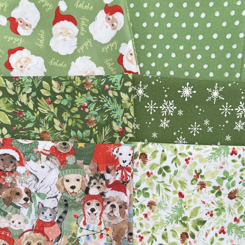 Santa Paws Green 6 Piece Special Bundle