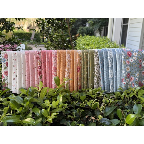 Wild Honey 30 Piece Special Bundle